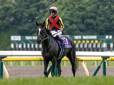 ヴィクトリアMを制したアスコリピチェーノ(撮影：下野雄規)