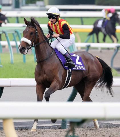 【ヴィクトリアM】3番人気ステレンボッシュは桜花賞以来の復活Vならず　戸崎圭太騎手「伸びあぐねてしまい…」