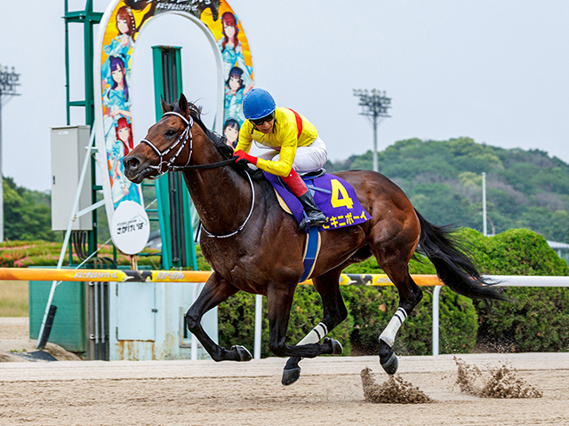 【佐賀スプリングC結果】ビキニボーイが人気2頭の一騎打ちを制し重賞初V