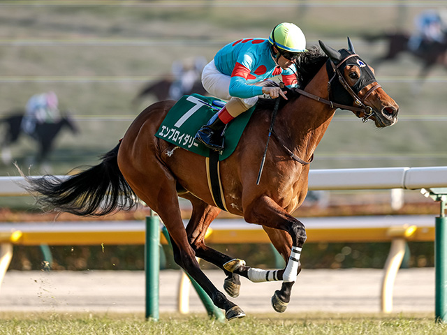牝馬クラシック二冠目・オークスと平安S/今週の競馬界の見どころ