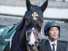 オークス2025に出走予定のリンクスティップ(今年2月撮影、ユーザー提供：とりきさん)