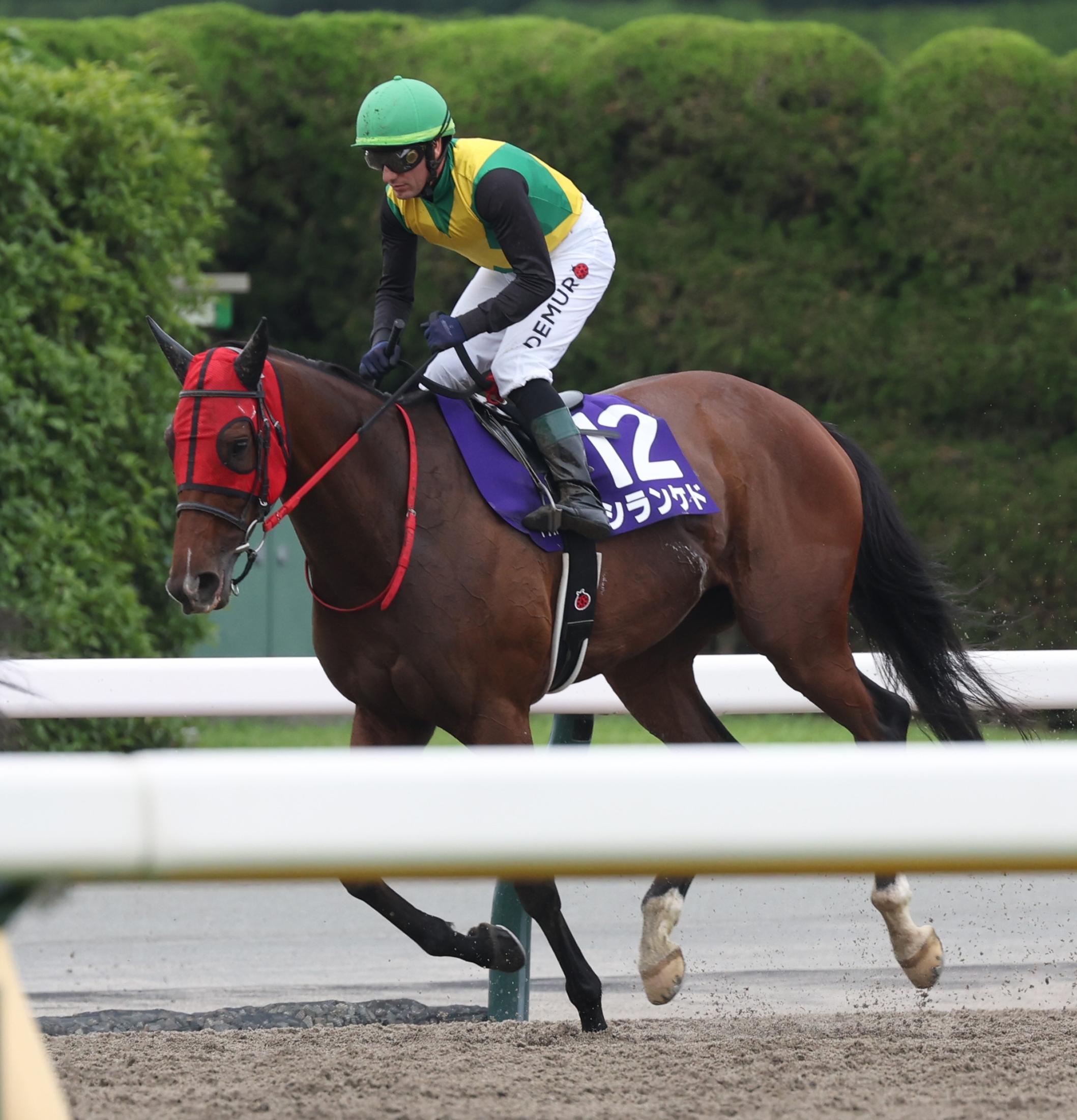 【ヴィクトリアＭ】Ｇ１舞台で珍名馬シランケドが３着激走　最速追い上げでＳＮＳ沸く「普通に強かった」「珍名馬のカテゴリーちゃう」　馬名由来は関西方言「知らんけど」
