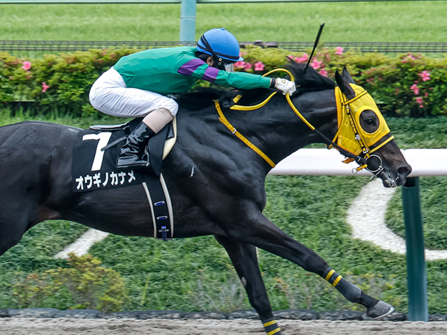 【青梅特別レース後コメント】オウギノカナメ北村友一騎手ら