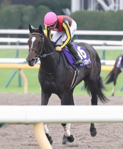 【ヴィクトリアM】クイーンズウォーク2着　惜敗も川田称賛「素晴らしい内容で走ってくれた」