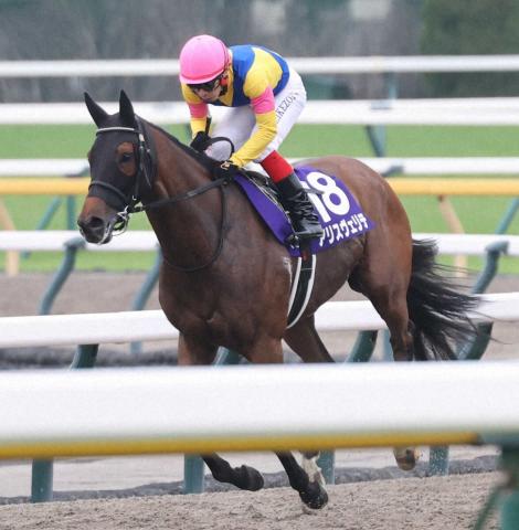 【ヴィクトリアM】アリスヴェリテ5着　大逃げで大健闘　池添「いい競馬ができました」