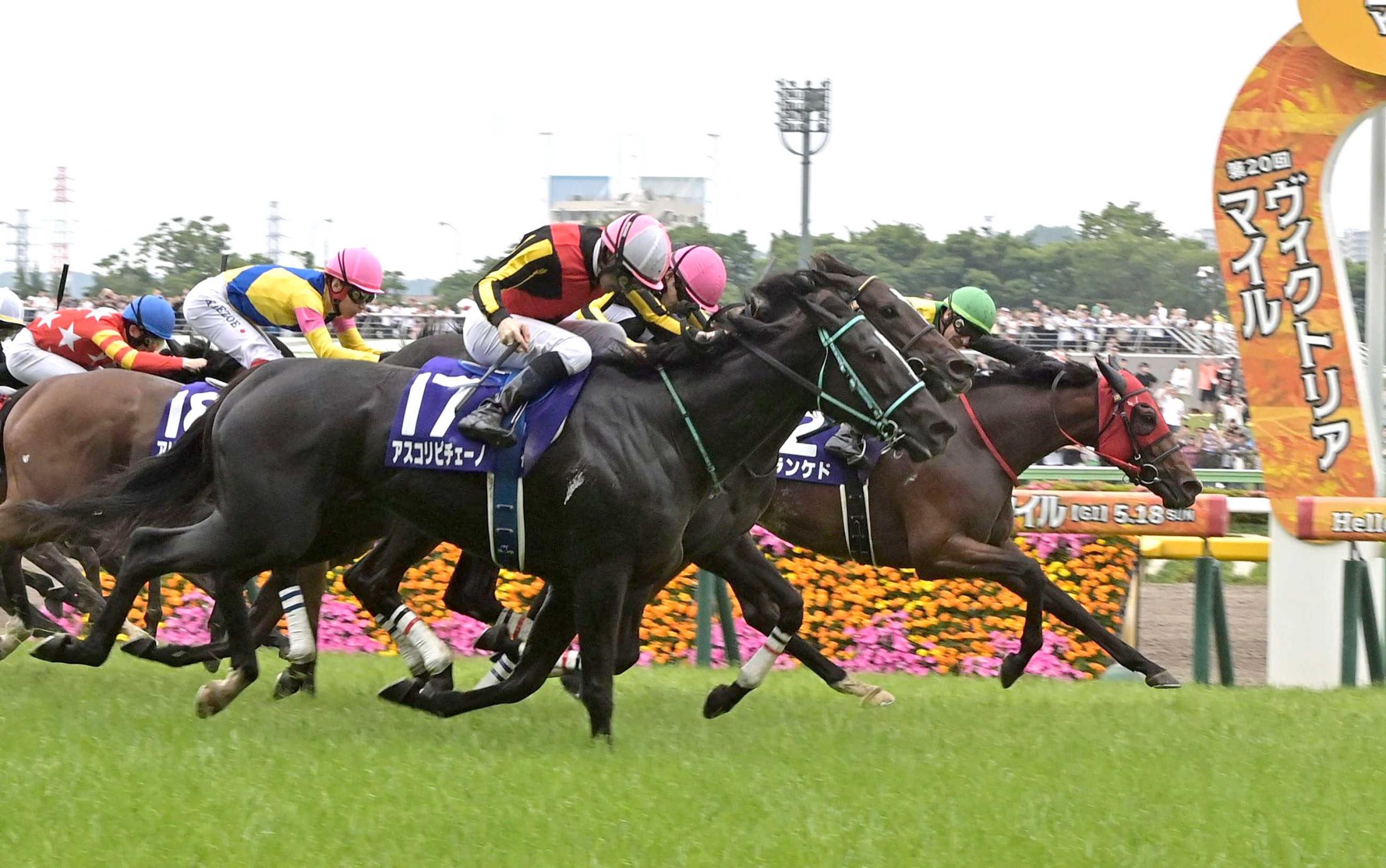 【ヴィクトリアＭ】アスコリピチェーノ　大激戦も直線最後方から大外一蹴！Ｇ１・２勝目　黒岩師「安田記念も視野」