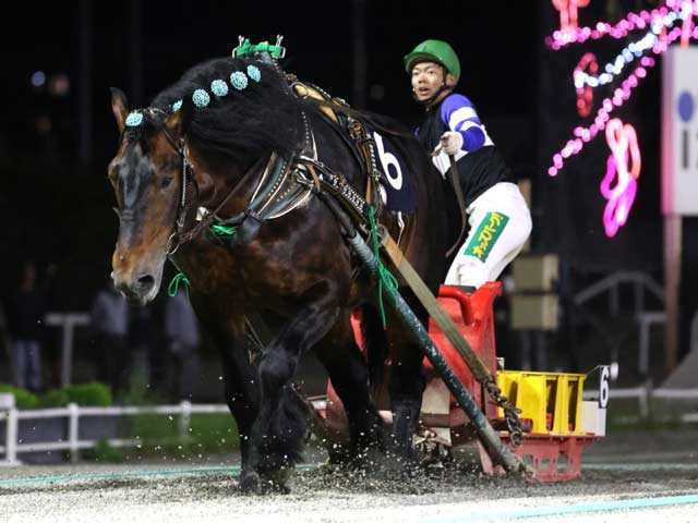 【ばんえい十勝オッズパーク杯結果】コマサンエースが人気に応え重賞初制覇