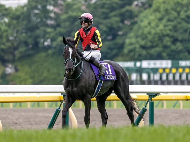 【ヴィクトリアM】売上は188億1728万6900円で昨年より22.3億円増加