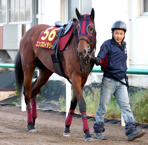 【オークス・浅子の特注馬】桜花賞馬エンブロイダリーは距離延長がカギも、モレイラ騎手のコメントから対応可能か