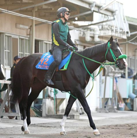 【平安S・坂本の特注馬】3連勝を狙うブライアンセンスに感じる勝負気配　斎藤誠調教師の手応えに理由あり