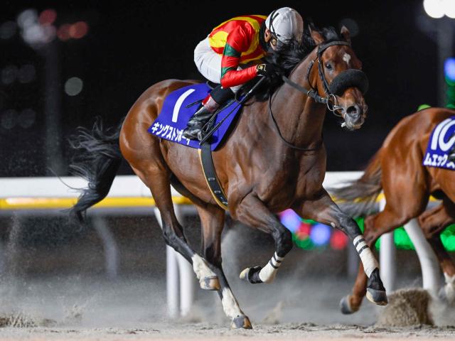 【大井記念枠順】重賞3連勝中のキングストンボーイは7枠12番