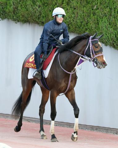 【オークス・山下の特注馬】東京の2400メートルならリンクスティップが逆転へ　Mデムーロ騎手のG1勝利を期待