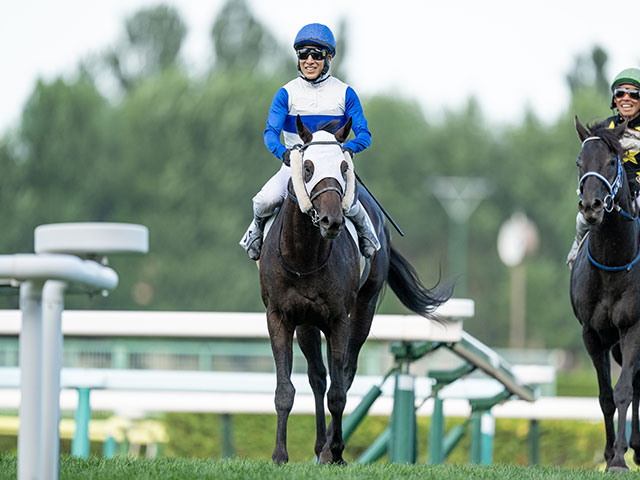 【平安S想定騎手】ロードクロンヌは藤岡佑介騎手、ブライアンセンスは岩田望来騎手