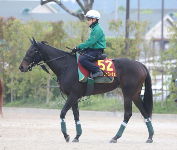 【オークス・玉木の特注馬】アルマヴェローチェが在厩で調整できる理由とは　陣営「男馬のように余裕があるのが強み」
