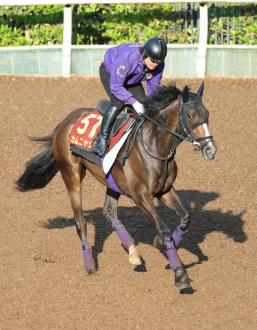 【オークス】フローラSを7番人気で勝ったカムニャックは距離延長がカギ　陣営「リラックスして走れれば」