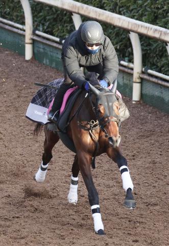 【オークス】フラワーCで重賞初Vのレーゼドラマ　陣営「距離は心配してません」