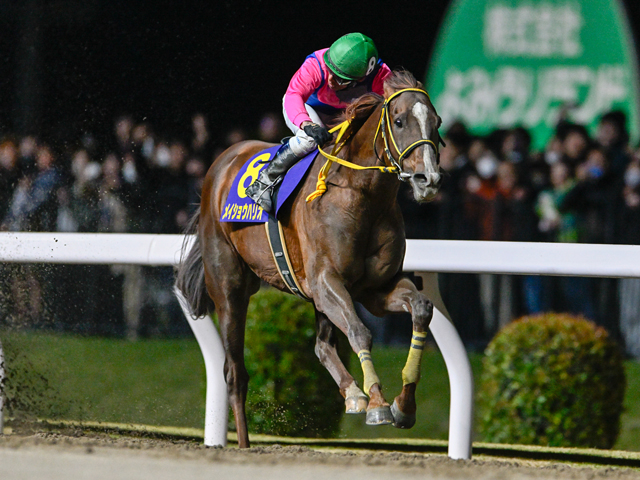 【平安S展望】実績馬メイショウハリオが中心も、波乱含みの一戦