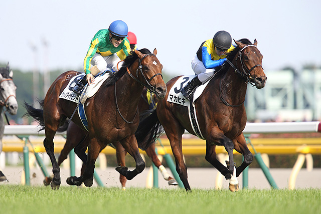 グレード制後は5頭 皐月賞2着から日本ダービーで巻き返した馬たち