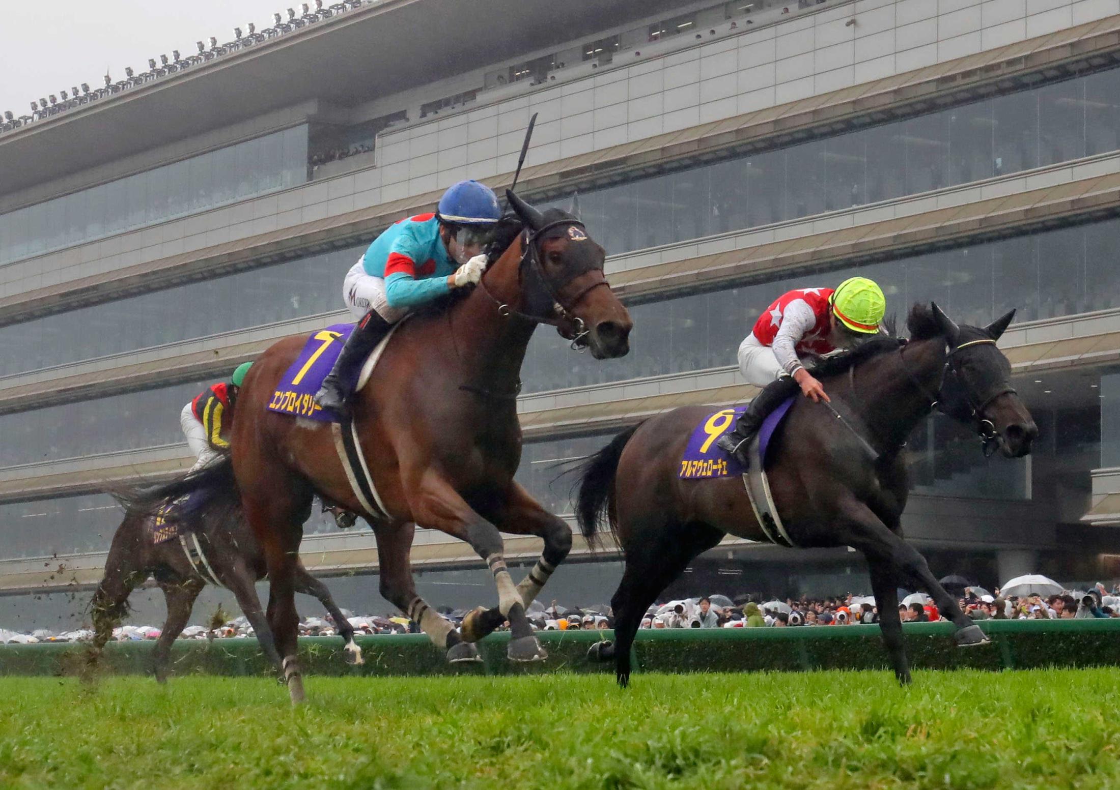 【オークス】桜花賞馬エンブロイダリー  史上１８頭目の２冠制覇へ　森一師手応え「スピードと総合力で通用する」
