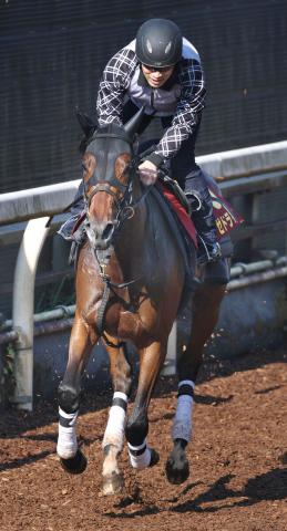 【オークス】フラワーC優勝馬のタイムと内容は優秀　持ち味生かせばタフな芝・2400メートルも克服できる