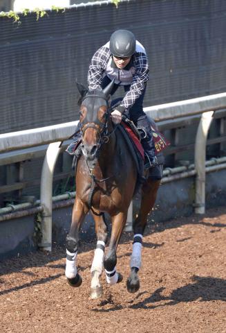 【オークス】スタミナ勝負に持ち込みたいレーゼドラマ　辻野調教師「最近のなかでは、一番フレッシュで動ける状態」