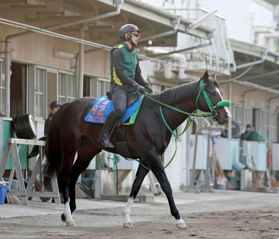 【平安S】重賞連勝を狙うブライアンセンスは京都がプラス　陣営「(岩田)望来も期待してくれている」