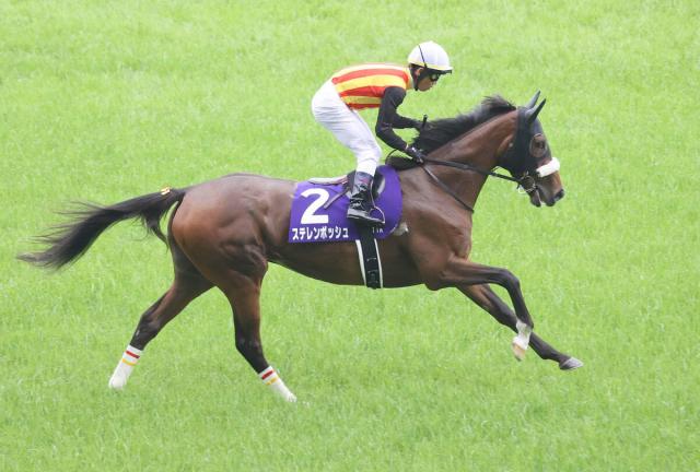 【注目馬動向】ヴィクトリアM8着のステレンボッシュは放牧へ　国枝調教師「(馬場は)外が走りやすかったのかな」