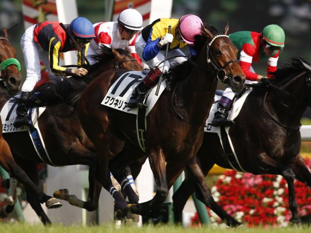 【日本ダービー何でもランキング】史上最高配当は285万6300円 昨年は史上3位の記録も生まれる