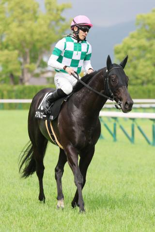 【注目馬動向】鞍馬Sでオープン2勝目を決めたオタルエバーは北九州記念かCBC賞へ