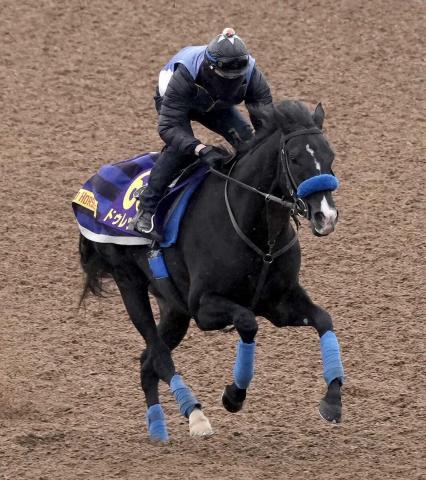 ドバイSC3着ドゥレッツァ　6・15宝塚記念を視野　23年菊花賞以来のG1獲りを期す