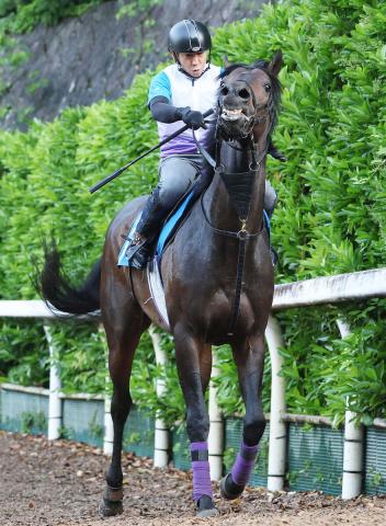 【平安S】ダート転向後3戦2勝のジンセイ　「まだまだ伸びしろある」庄野調教師は高評価