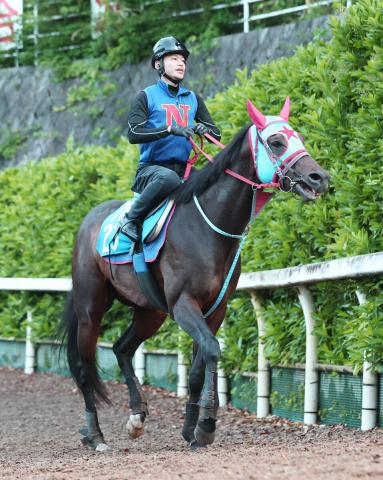 【平安S】レジェンド武豊騎手の手綱さばきに期待のマーブルロック　西園正調教師「鞍上とも手が合う」