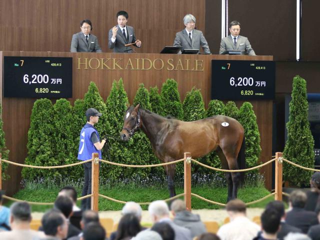 2025北海道市場2歳トレーニングセールが開催 最高価格はコントレイル産駒「テオレーマの2023」