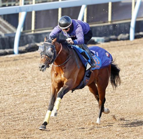 【注目馬動向】レーベンスティールはキャリア初のマイル戦、新重賞のしらさぎSを視野