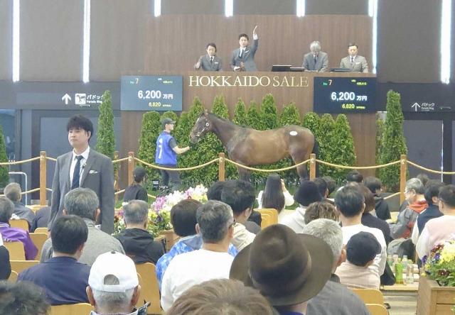 北海道トレーニングセール史上最高額!コントレイル産駒6200万円