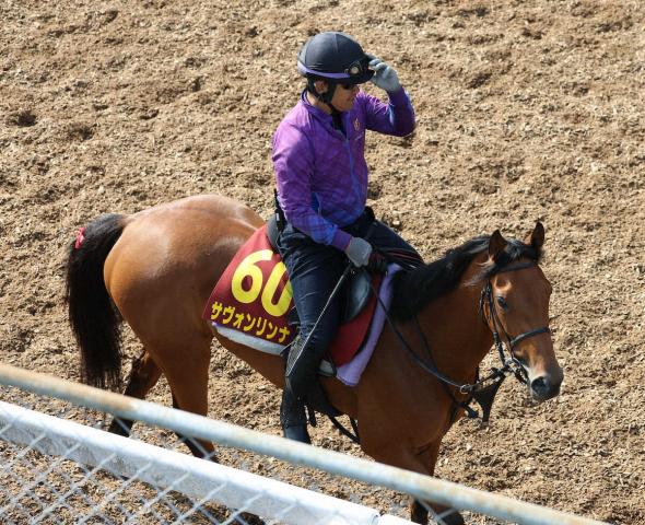 【オークス】サヴォンリンナ　1週前に好時計　北村友「反応が良くなっています」