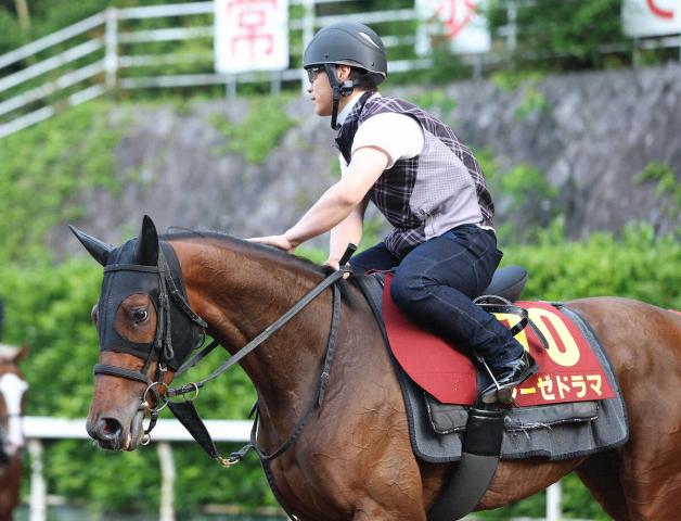 【オークス】レーゼドラマ　調教動けてきた　陣営「距離の心配はない」