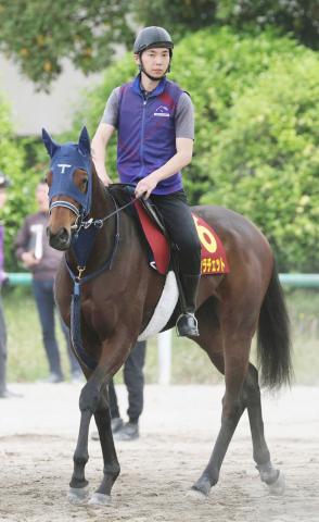 【オークス】21年ユーバーレーベン以来Vへ伏兵2頭出し手塚久師が不敵な笑み