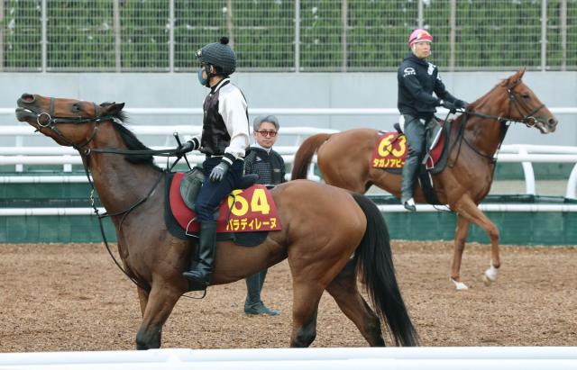 【オークス】「鍛えるより気分良く」馬最優先貫き15年目G1初の2頭出し