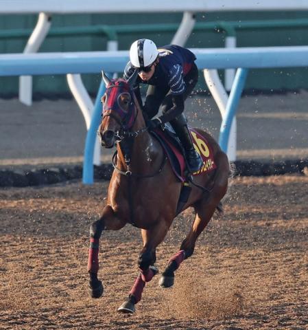 【オークス】エンブロイダリーはルメール騎手を背に坂路で52秒2　鞍上「完璧な追い切り。大きなチャンス」