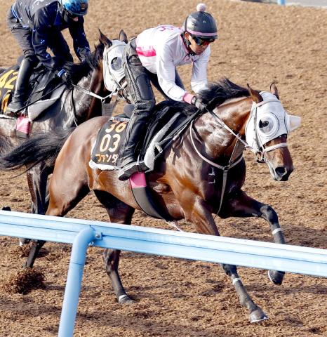 【日本ダービー1週前】ファンダムは北村宏司騎手を背に自己ベストマーク　「いい意味で大きく変わらない」