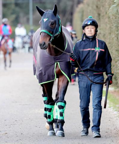 【注目馬動向】エンペラーワケアはさきたま杯で巻き返しを狙う　香港帰りのガイアフォースは安田記念で復帰