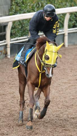 【平安S】8歳馬メイショウハリオはCWコースで力強い動き　浜中俊騎手「JBCクラシックあたりから状態が戻ってきた」