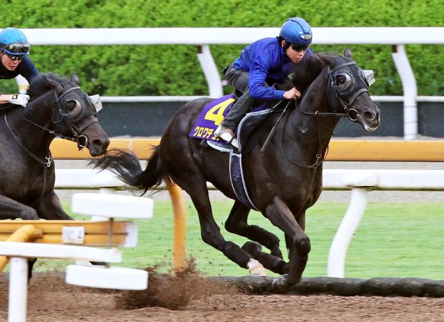 【日本ダービー1週前】クロワデュノールが上昇ムード　北村友一騎手「全体的に良くなりました」