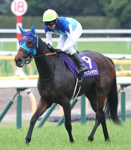 【注目馬動向】ヴィクトリアM7着のアドマイヤマツリはクイーンSかアイルランドTを視野