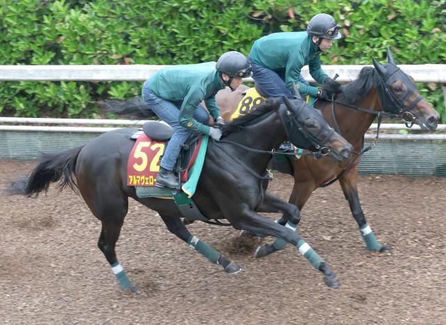 【オークス】アルマヴェローチェは坂路で55秒1　上村調教師「状態面ではまったく不安はないですね」