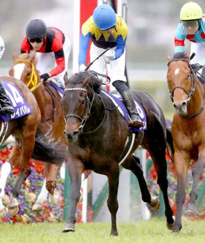 22年大阪杯勝ち馬ポタジェが引退し種牡馬入り　友道調教師「勝負根性のすごい馬でした」
