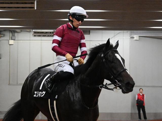 【POG】エリキングが追走先着 気配は良化/馬三郎のつぶやき