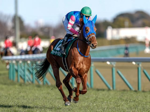 【有力馬動向】ウォーターリヒトが坂路で力強い動き…大目標の安田記念へ順調/馬三郎のつぶやき