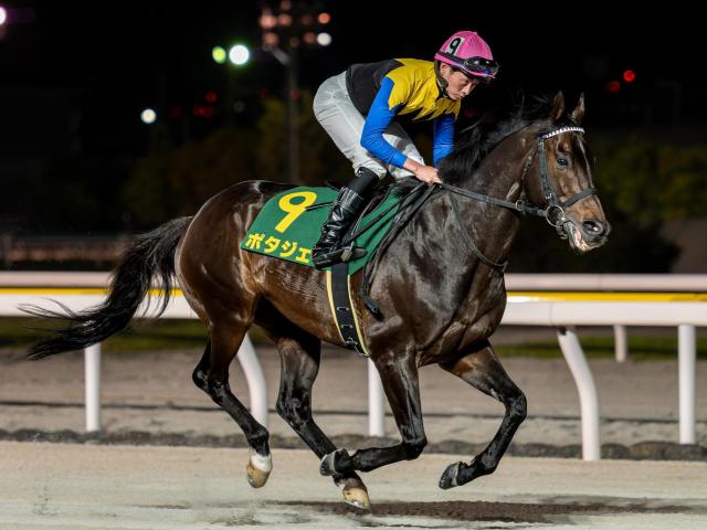 22年大阪杯覇者ポタジェが引退 イーストスタッドで種牡馬入り予定